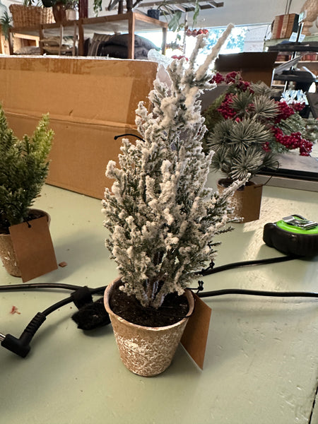 Faux Evergreen Tree in Paper Pot