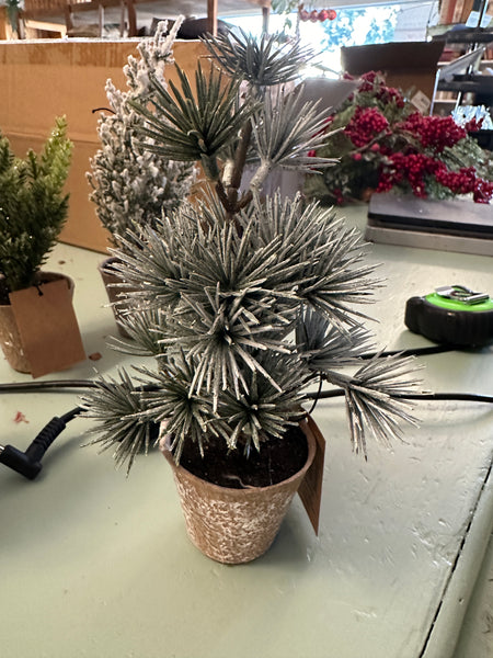 Faux Evergreen Tree in Paper Pot