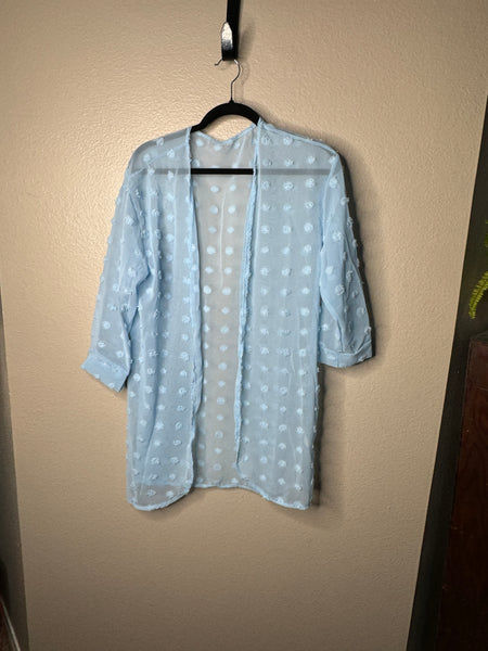 Women's Blue Sheer Blouse