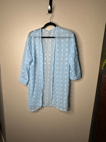 Women's Blue Sheer Blouse