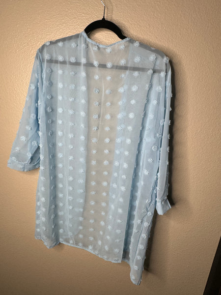 Women's Blue Sheer Blouse