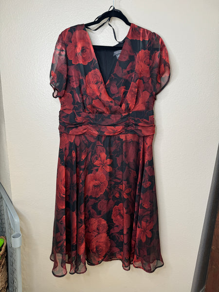 Dressbarn Women's Black & Red Dress