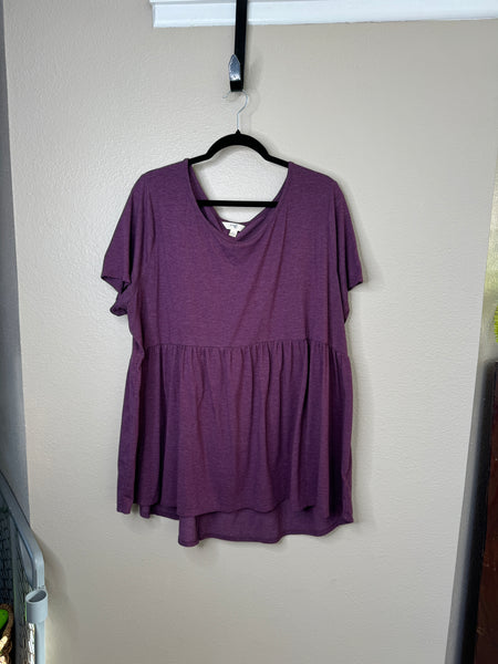 Terra & Sky Women's Purple Blouse