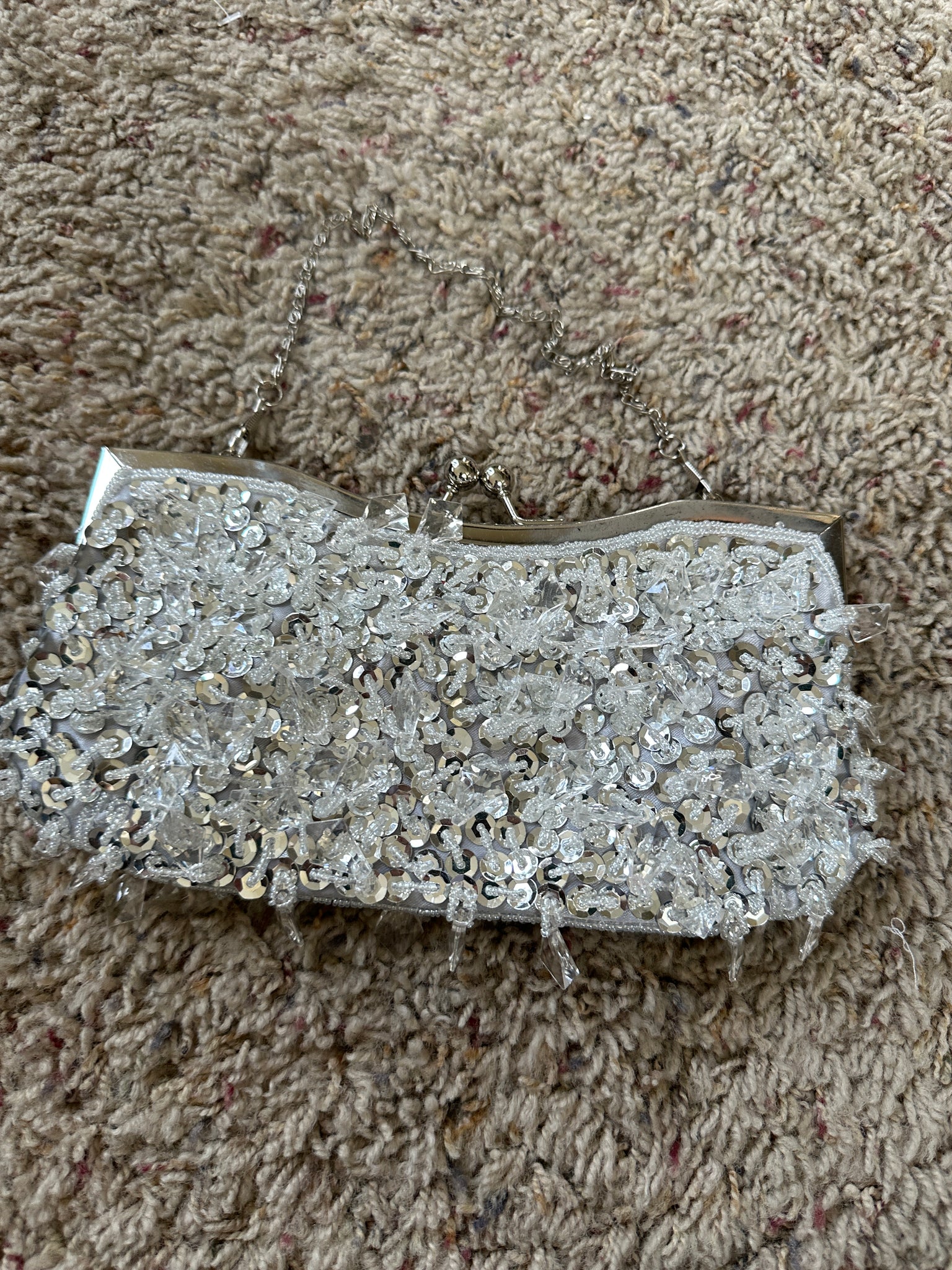 Silver Beaded Purse