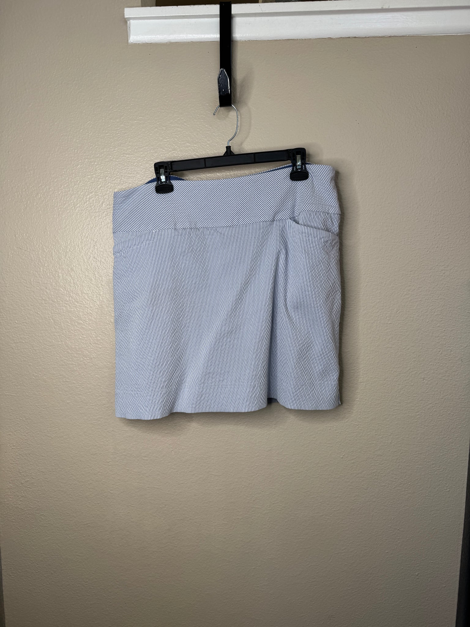 S.C. & Co Women's Blue Skorts