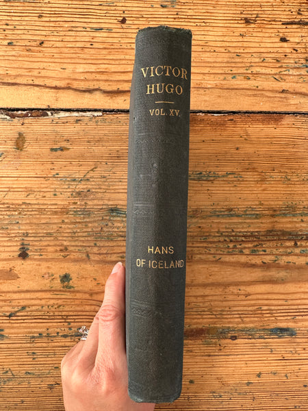 Victor Hugo Volume 15 spine