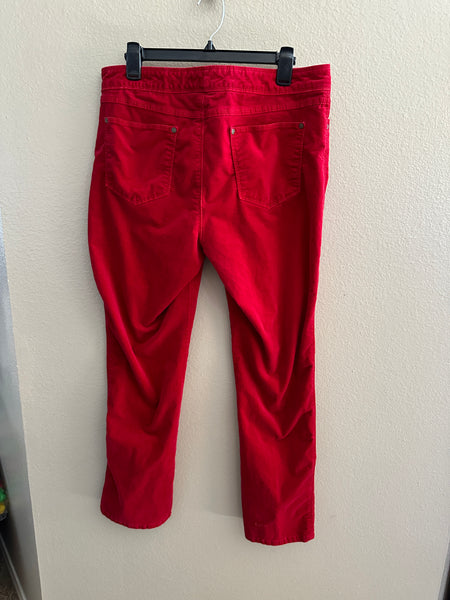 Dana Buchman Red Velour Pants