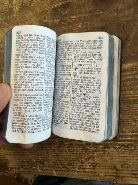 Mini New Testament Old Testament Prophecy Edition Bible inside page sample