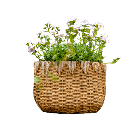 Lady Straw Basket Cement Planter