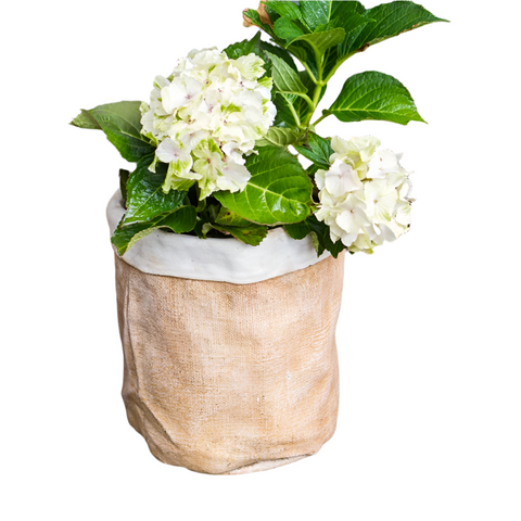 Paper Bag Style Concrete Garden Pot