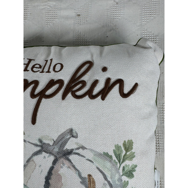 Hello Pumpkin Fall Throw Pillow Embroidered Text Watercolor Pumpkin 16 Inches