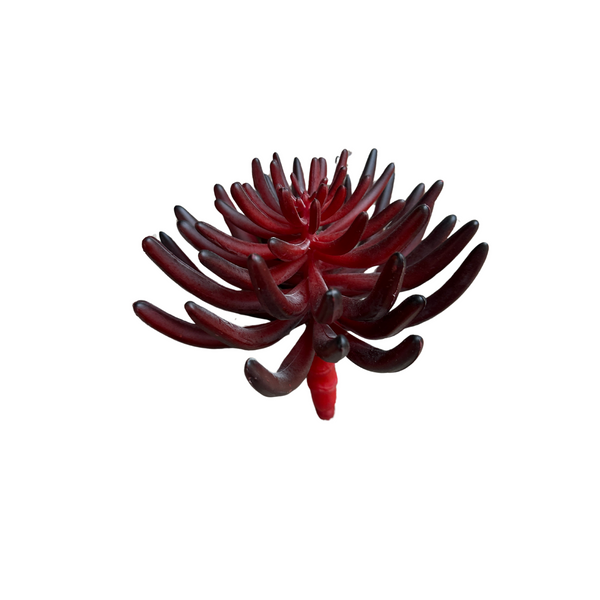 12" Faux Aeonium Stem