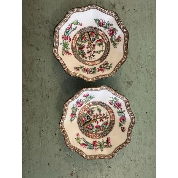 Coalport Indian Tree Teacup and 2 Saucers Bone China England Antique 1920s