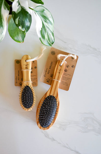 Eco Friendly Bamboo Pet Brush