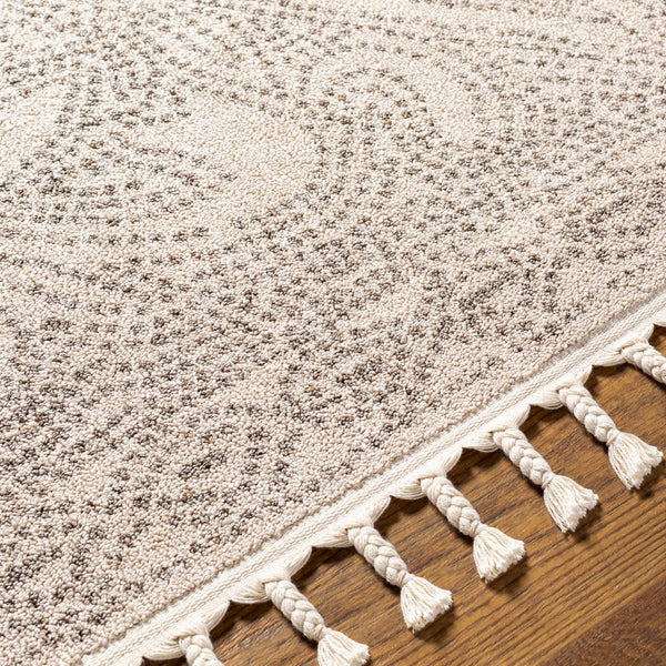 Birdwood Cream & Brown Area Rug braided