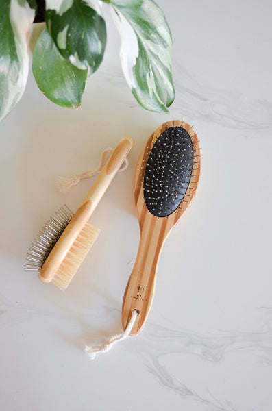 Eco Friendly Bamboo Pet Brush