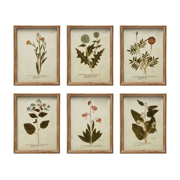 Wood Framed Glass Wall Décor w/ Botanical*