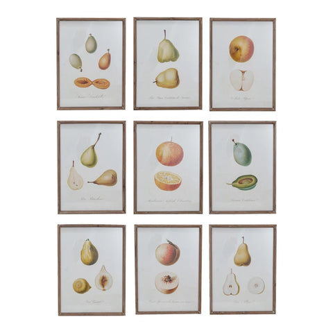 Wood Framed Glass Wall Décor w/ Vintage Reproduction Fruit Image