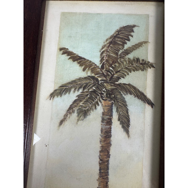 Set Of 2 Tropical Palm Tree Framed Art Prints Wooden Frames Beach Coastal Decor Gently Used