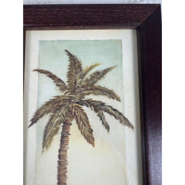 Set Of 2 Tropical Palm Tree Framed Art Prints Wooden Frames Beach Coastal Decor Gently Used