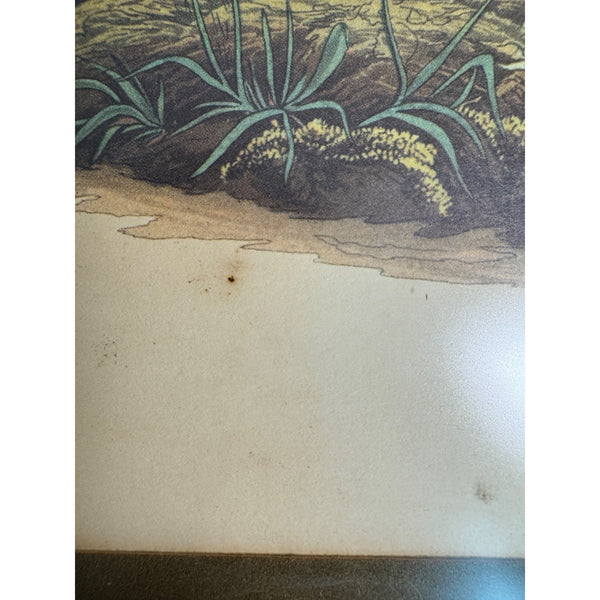 Vintage Framed John James Audubon Print Cow-Pen Bird Or Cowbird Wildlife Art