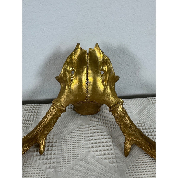 Gold Finished Deer Antlers With Partial Skull Mount Wall Decor Modern Farmhouse
