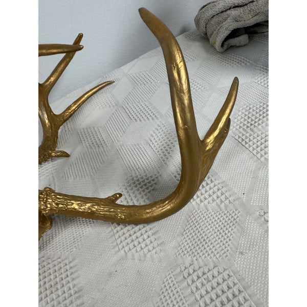 Gold Finished Deer Antlers With Partial Skull Mount Wall Decor Modern Farmhouse
