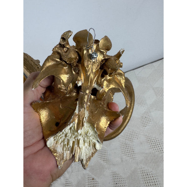Gold Finished Deer Antlers With Partial Skull Mount Wall Decor Modern Farmhouse