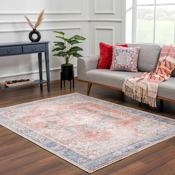 Rosman Distressed Washable Rug modern