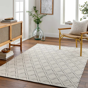 Aeron Wool Area Rug living room