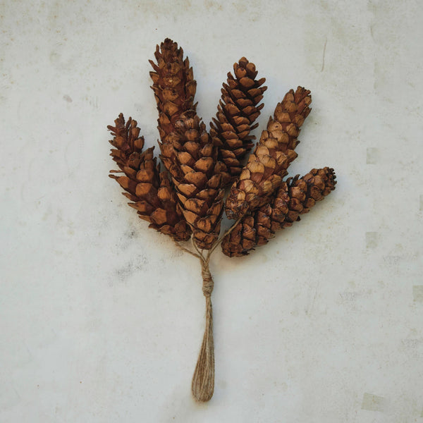 Dried Natural Pinecone Bunch w/ Jute Rope Hanger