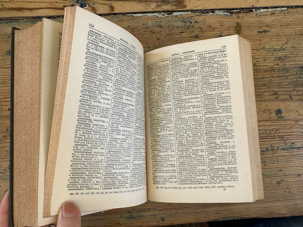 1916 James German and English Dictionary inside pages