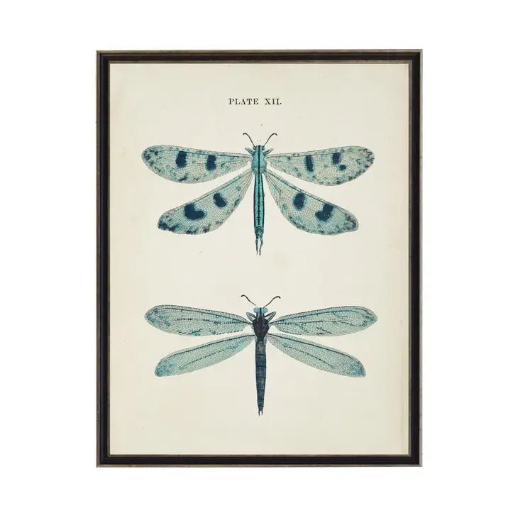 Blue Dragonflies Bookplate