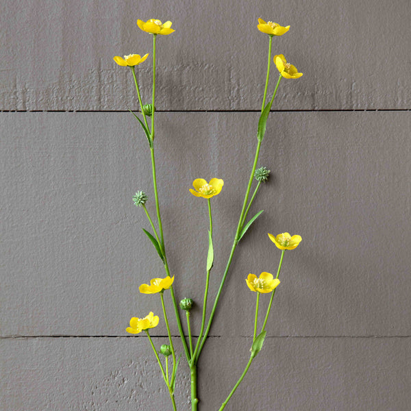 Prairie Flower Yellow